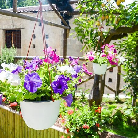 Holiday House Ruocco Maiori Ngoại thất bức ảnh