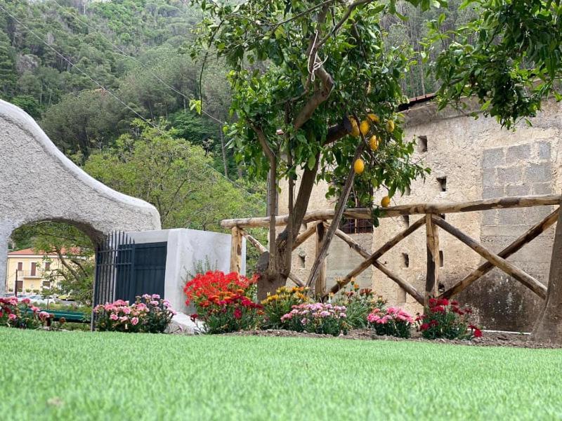 Holiday House Ruocco Maiori Ngoại thất bức ảnh