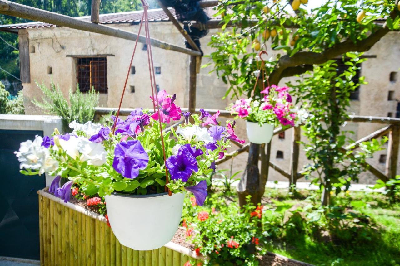 Holiday House Ruocco Maiori Ngoại thất bức ảnh